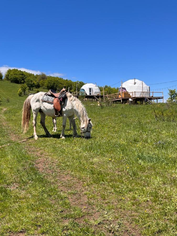 Glamping Park Hotel Shahumyan Buitenkant foto